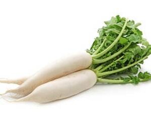 RADISH 500g