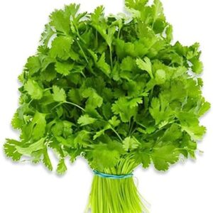 farm coriander 1bunch